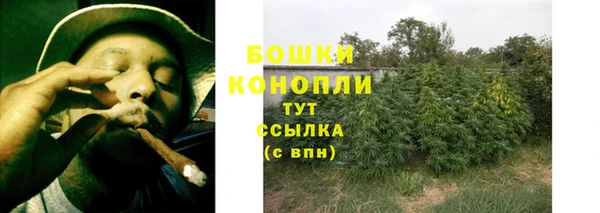 ECSTASY Вяземский