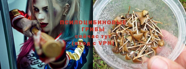 ECSTASY Горнозаводск