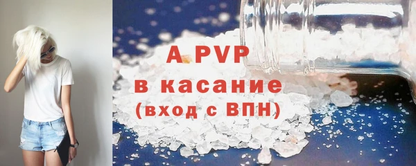 ECSTASY Вяземский