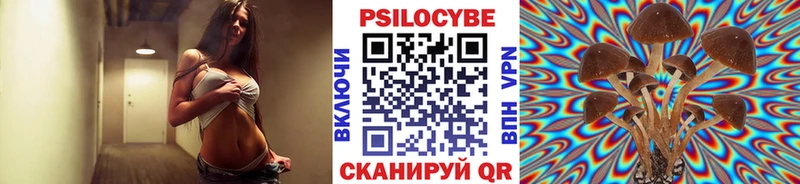 Псилоцибиновые грибы MAGIC MUSHROOMS  Купить закладки  Короча 